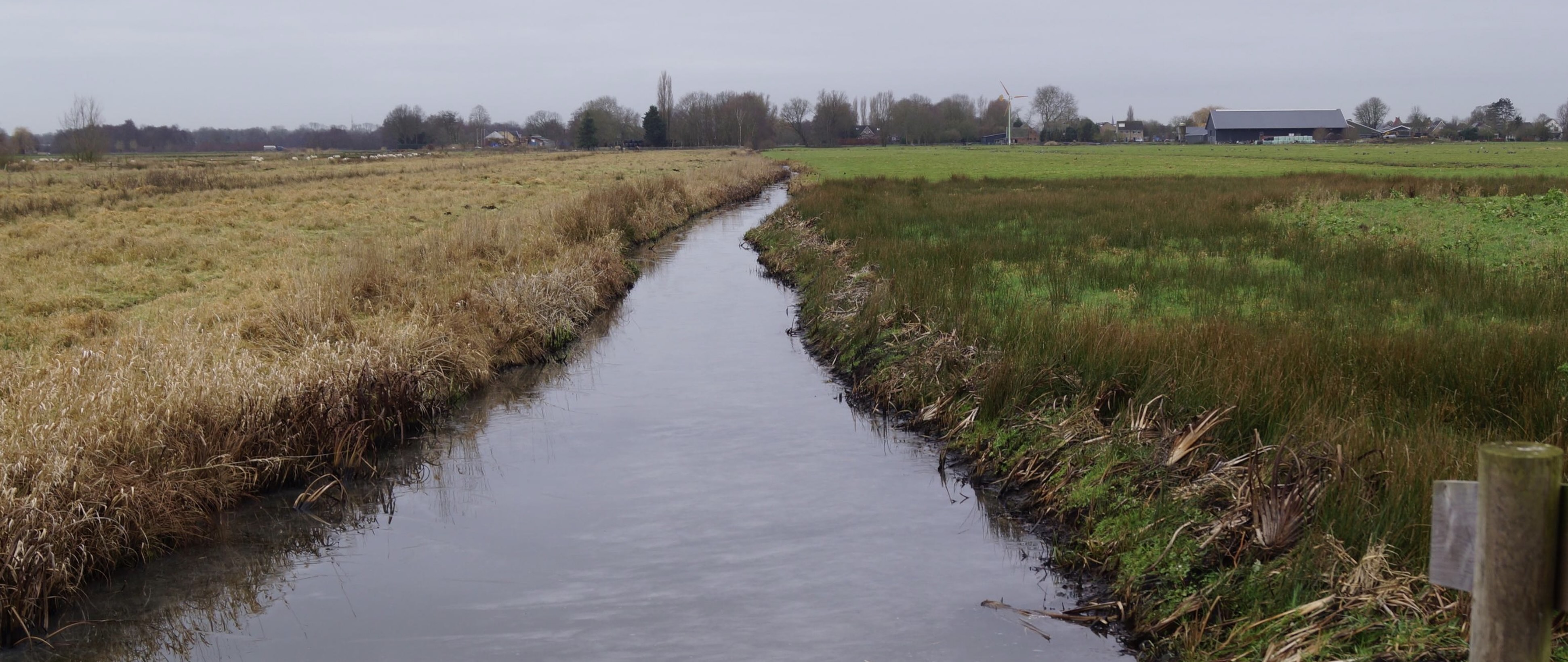 Foto: Geesje Rotgers